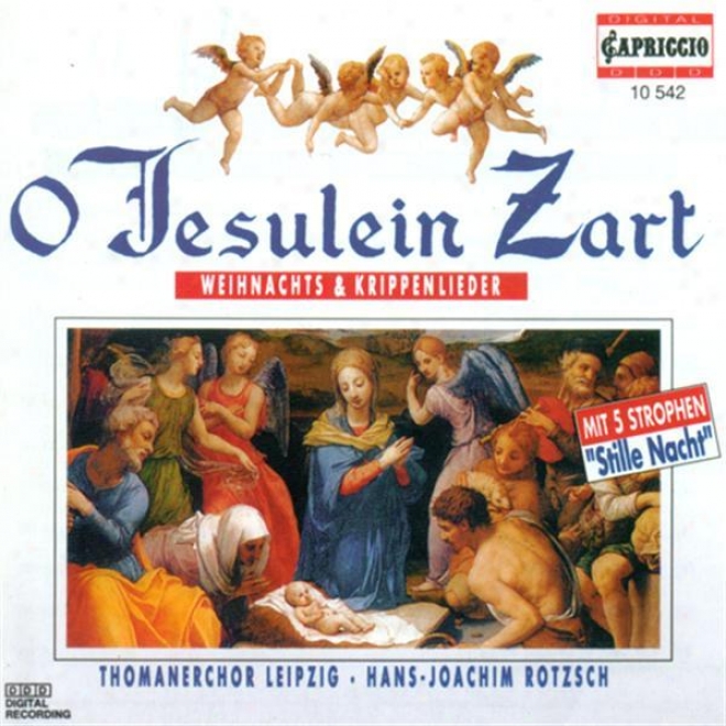 Christmas Chorzl Music - Handel, G.f. / Bach, J.s. / Taubert, W. / Preatorius, M. / Gruber, F.x. / Himmel, F.h. / Klut, J.