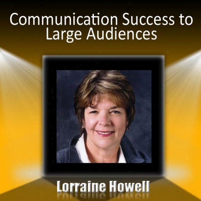 Communication Success To Large Audiences - How To Relax And Stay Focuded In The Media Spotlight Including Media Interviews, Networ