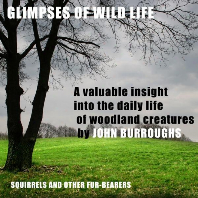 Glimpses Of Undomesticated Society (unabridged), A Valuable Insight Into The Daily Life Of Woodland Creatures, By John Burr0ughs