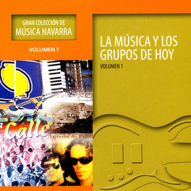 Gran Coleccin De Msica Navarra Volumen 7 - La Msica Y Los Grupos De Hoy Volumen 1