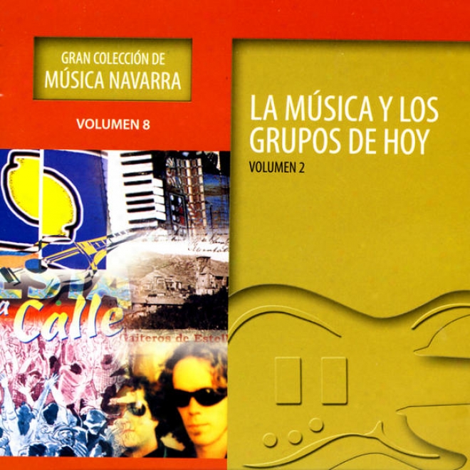 Gran Coleccin De Msica Navarra Volumen 8 - La Msica Y Los Grupos De Hoy Volumen 2