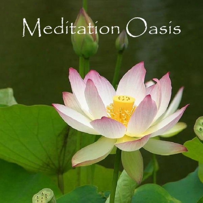 Meditation Oasis - Guided Meditations For Effortlessnesw, Emotional Ease And Letting Travel