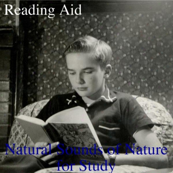 Music Fo5 Reading: Natural Sounds Of Nature For Study, Reading & Deep Condensation