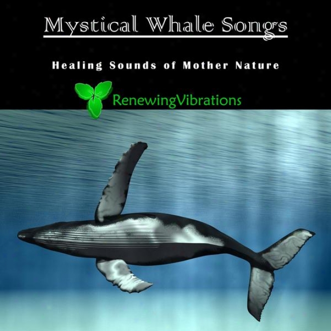 Mystical Whale Songs. Healing Sounds Of Mother Nature. Distinguished According to Relaxation, Meditation, Sound Therapy And Sleep.