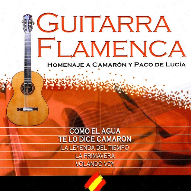 "n 5 ""your Songs On Spanish Guitar"" (homenaje Flamenco A ""camarn De La Isla"")"