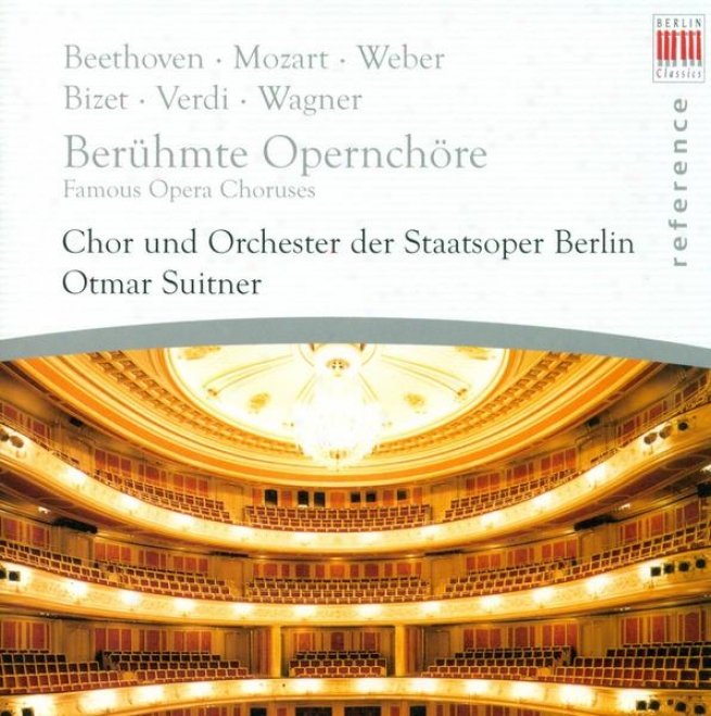 Opera Choruses - eVrdi, G. / Bizet, G. / Wagner, R. / Mascagni, P. / Leoncavallo, R. / Mozart, W.a. / Nicolai, O. / Flotow, F. Von