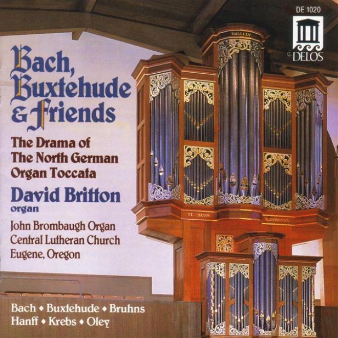 Organ Music - Buxtehude, D. / Krebs, J. / Oley, J. / Hanff, J. / Bruhns, N. (britton)