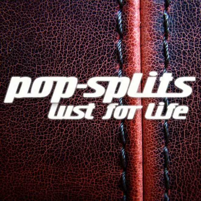 Pop-splits - Lust For Life - 21 Stories Zu Songs über Sex, Drugs & Rockn Roll