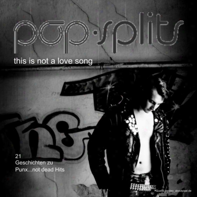 Pop-splits  This Is Not A Love Song  21 Geschichten Zu Punx...not Dead