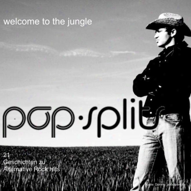 Ppp-splits  Welcome To The Jungle  21 Geschichten Zu Alternative Lull Hkts