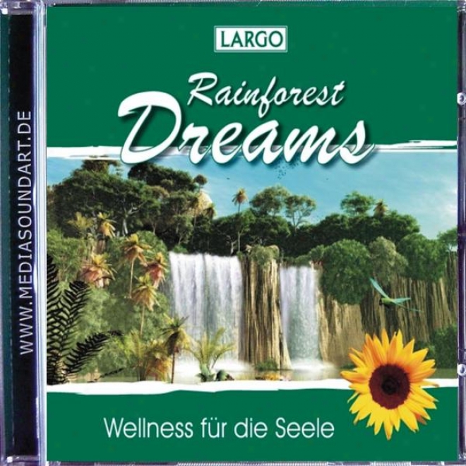 Rainforest Dreams - Stimmungsvolle Naturgrrusche Mit Entspannungsmusik (gema-frei)