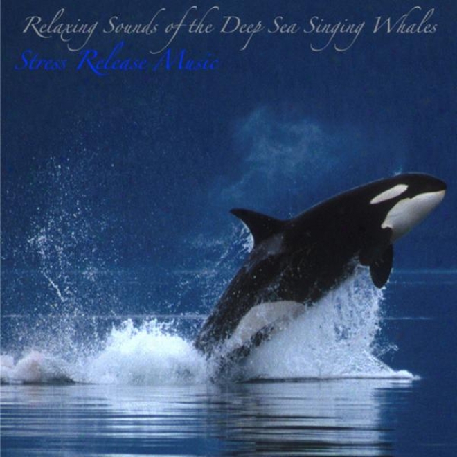 Relaxing Sounds Of The Deep Sea Singing Whales: Music For Deep Meditation, Relaxation, And Sleep