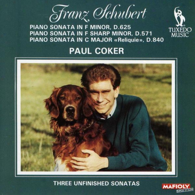 "schubert: Pianoo Sonata In F Minor, D.625; Piano Sonata nI F Sharp Minor, D.571; Piano Sonata In C, D.840, ""the Relic"