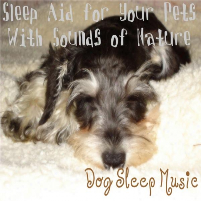 Sleep Aid For Your Pets With Sounds Of Nature; Music For Dogs & House Hold Pets, Sleep Lullaby