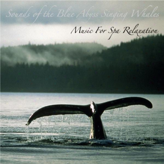 Sounds Of The Blue Abyss Singing Whales: For Deep Relaxation, Meditation, And Sleep