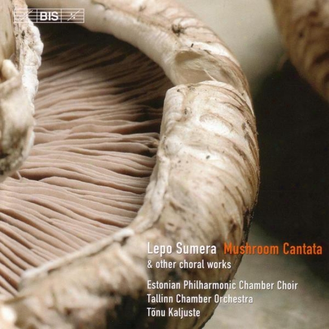 Sumera: Mushroom Cantata / Concerto Pdr Voci E Strumenti / Island Maiden's Song From The Sea