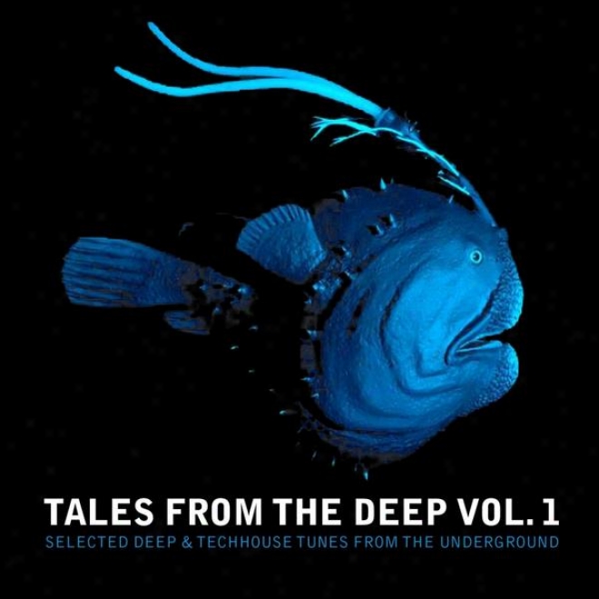 Tales From The Deep, Vol. 1  (selected Deep Anf Techhouse Tunes From The Underground)