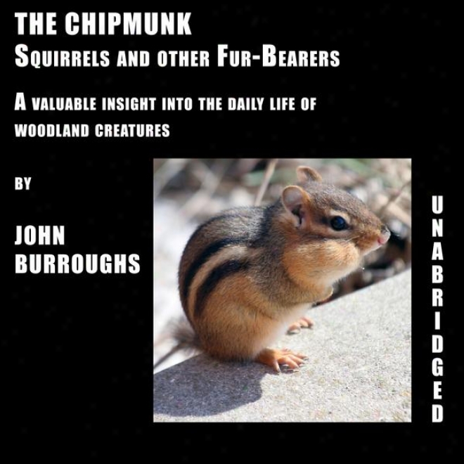 The Chipmunk (unabridged), A Precious Insight Into The Diurnal Life Of Woods Crwatures, By John Burroughs