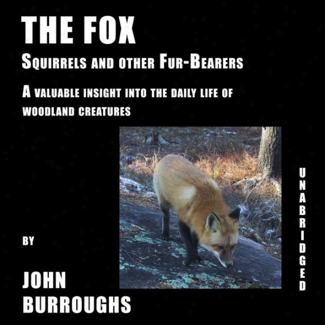 The Fox (unabridged), A Valuable Deep view Into The Daily Life Of Woodland Creatures, By John Burroughs