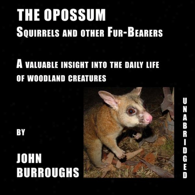 The Opossum (unabridged), A Valuable Insighht Into The Daily Mode  Of Woodland Creatures, By John Burroughs