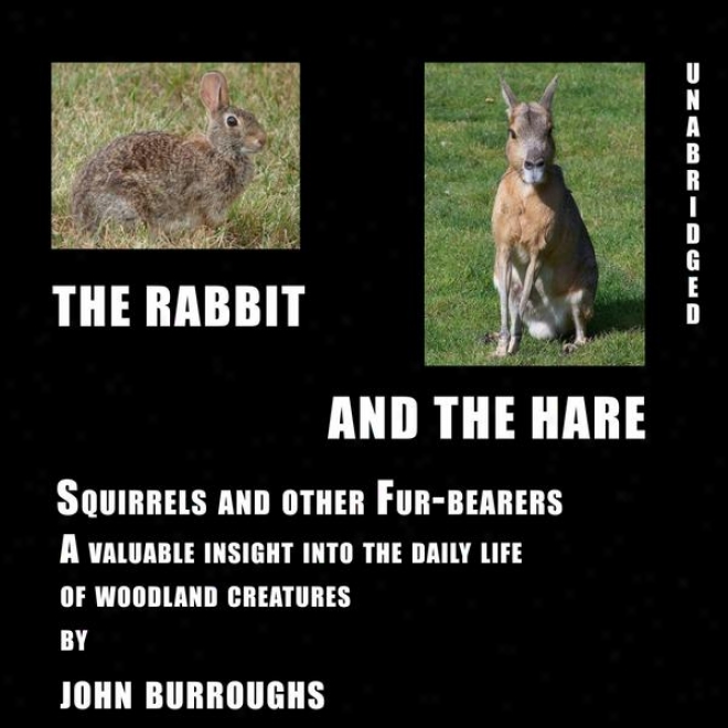 The Rabbit And The Hare (unabridged), A Valuable Insight Into The Daily Life Of Woodland Creatures, By John Burroughs