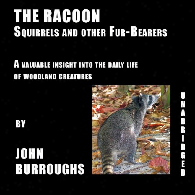 The Racoon (unabridged), A Valuable Insight Into The Daily Life Of Woodland Creatures, By John Burroughs