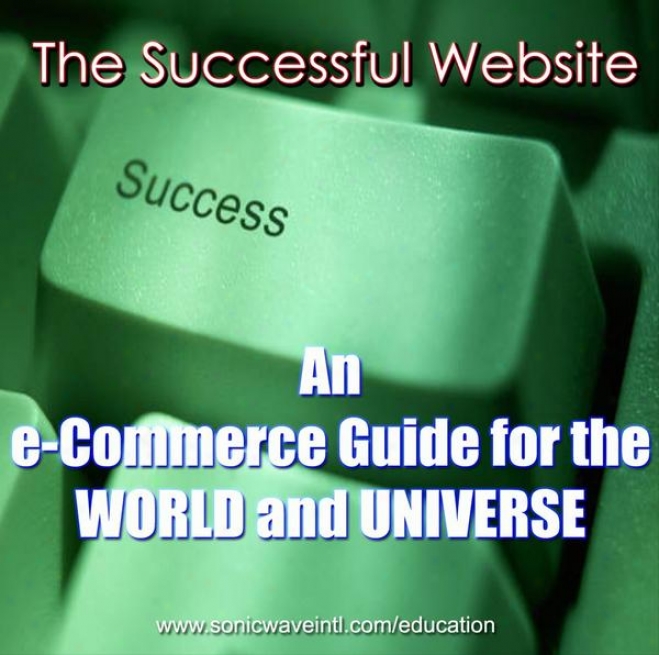 The Successsful Website : An E-commerce Guide For The New World And Univerise