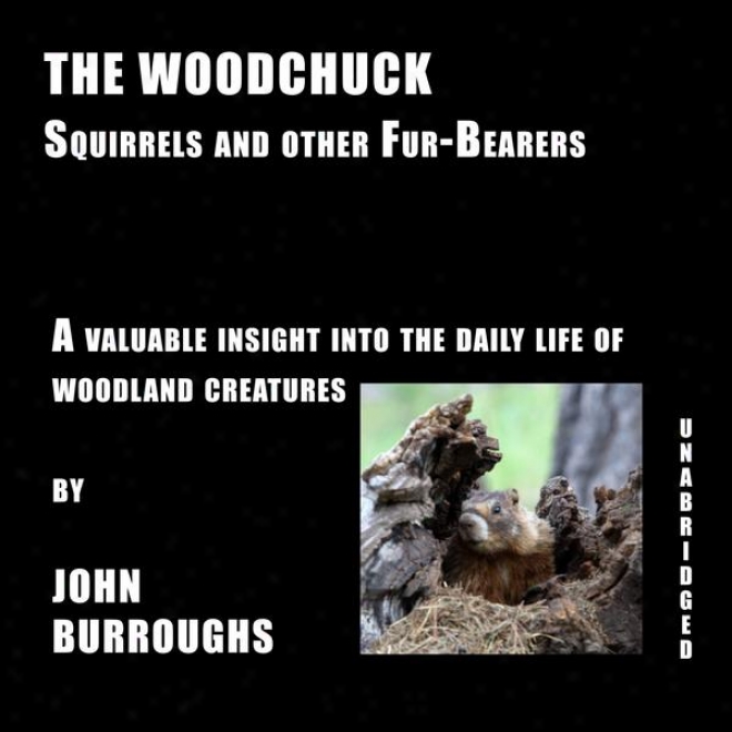 The Wodchuck (unabridged), A Valuable Insight Into The Daily Life Of Woods rCeatures, By John Burroughs