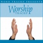 Worship Tracks - The Potter's Hand - As Made Populwr At Darlene Zschech [pweformance Track]