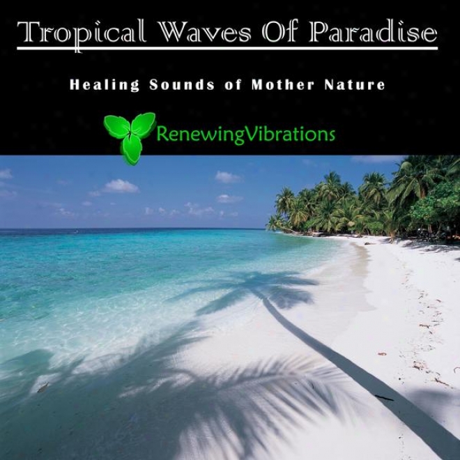 Tropical Waves Of Paradise. Mild Sounds Of Mother Nature. Great For Relaxation, Meditation, Sound Therapy And Sleep.