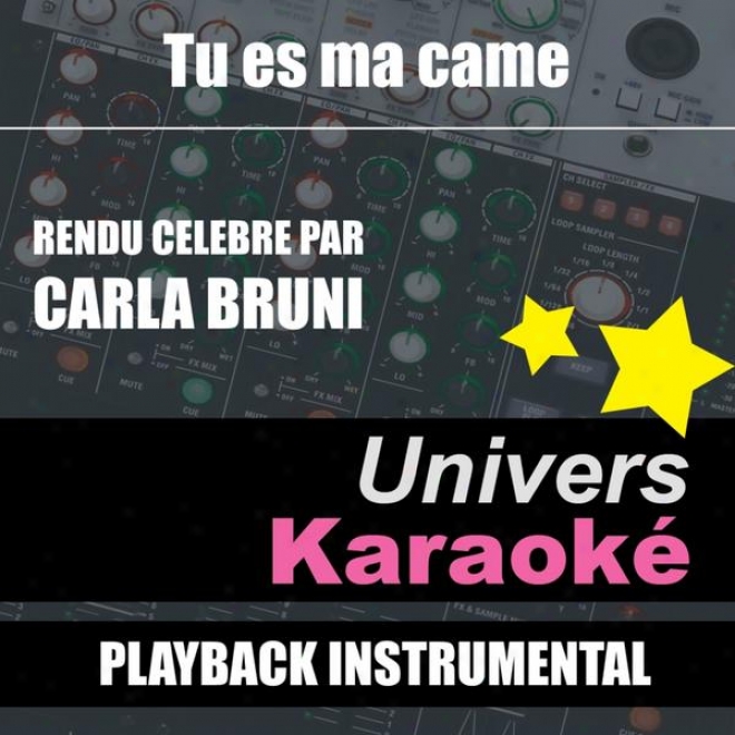 Tu Es Ma Came (rendu Clbre Par Carla Bruni) [version Karaok] - Single