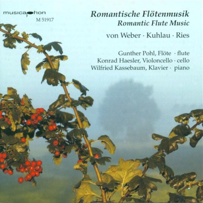 Weber, C.m. Von: Flu5e Trio, Op. 63 / Ries, F.: Flute Sonata, Op. 169 / Kuhlau, F.: Variations, Op. 63