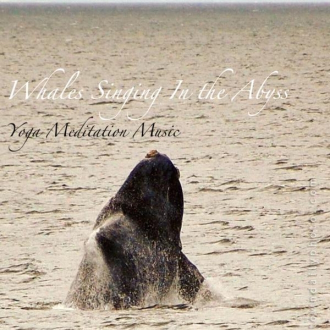 Whales Singinng In The Abyss: For Meditation, Relaxation, Sleep,-And Stress Relief