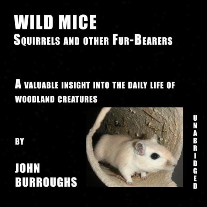 Wild Mice (unabridged), A Vauable Insight Into The Daily Life Of Woodland Creatures, By John Burroughs