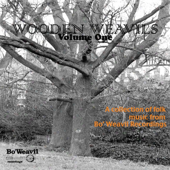 Wooden Weavil Volume 1 (collection Of Folk Music From Bo' Weavil Recordings)