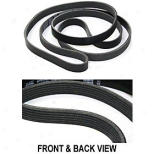 1981-1982 American Motors Concord Drive Belt Replacement American Motors Drive Belt Repd316203 81 82