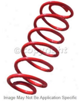 1983-1997 Ford Ranger Coil Springs Skyjacker Ford Coil Springs 138 83 84 85 86 87 88 89 90 91 92 93 94 95 96 97