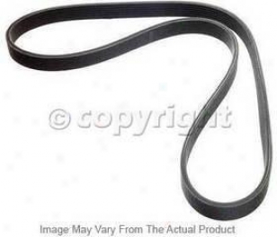 1991-2005 Acura Nsx Drive Belt Dayco Acura Drive Belt 5050435 91 92 93 94 95 96 97 98 99 00 01 02 03 04 05