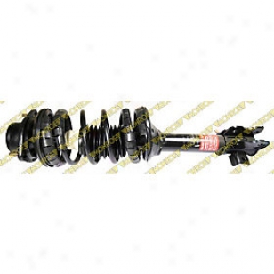 1993-1999 Nissan Altima Appall Absorber And Strut Assembly Monroe Nissann Shock Absorber And Strut Assembly 171943 93 94 95 95 97 98 99