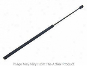 1995-2002 Land Rover Range Rover Lift Support Apa/uro Parts Land Rover Lift Support Alr1050 95 96 97 98 99 00 01 02