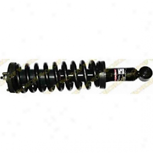 1995-2004 Toyota Tacomz Shock Absorber And Strut Assembly Monroe Toyota Shock Absorber And Strut Congress 171352l 95 96 97 98 99 00 01 02 03 04