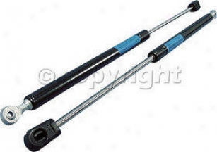 1996-2005 Wade through Taurus Lift Support Strong Arm Ford Lif Support 4646 96 97 98 99 00 01 02 03 04 05