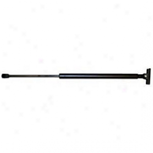 1997-2001 Jeep Cherokee Lift Have Monroe J3ep Lift Support 901381 97 98 99 00 01