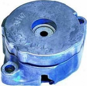 1997-2002 Ford Escort Accessory Belt Tensioner Gates Ford Accessory Belt Tensioner 38171 97 98 99 00 01 02