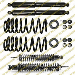 1997-2002 Ford Expedition Blow Absorber And Strut Aseembly Monroe Ford Shock Absorber And Strut Assembly 90010 97 98 99 00 01 02