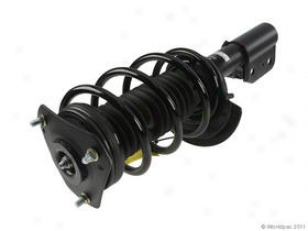 1997-2005 Buick Century Shock Absorber And Strut Assembly Kyb Buick Shock Absorber And Strut Assembly W0133-1830379 97 98 99 00 01 02 03 04 05