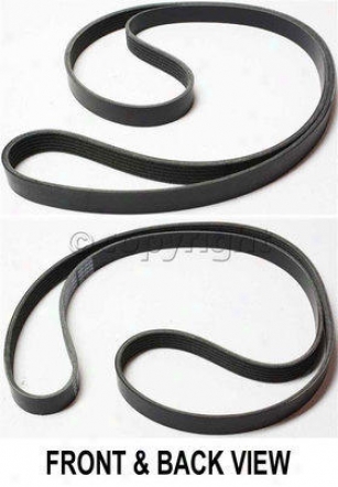 1997 Buick Century Drive Belt Replacement Buick Drive Belt Repb31204 97