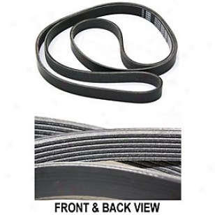 1998-2002 Cadillac Eldorado Carriage-road Belt Replacement Cadillac Drive Belt Repc316204 98 99 00 01 02