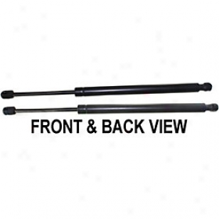 1999-2004 Jeep Grand Cherokee Lift Support Replacement Jeep Lift Sustain Repj610704 99 00 01 02 03 04