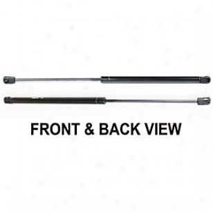 1999-2006 Volkswagen Golf Raise Support Replacement Volkswagen Lift Support Repv131501 99 00 01 02 03 04 05 06